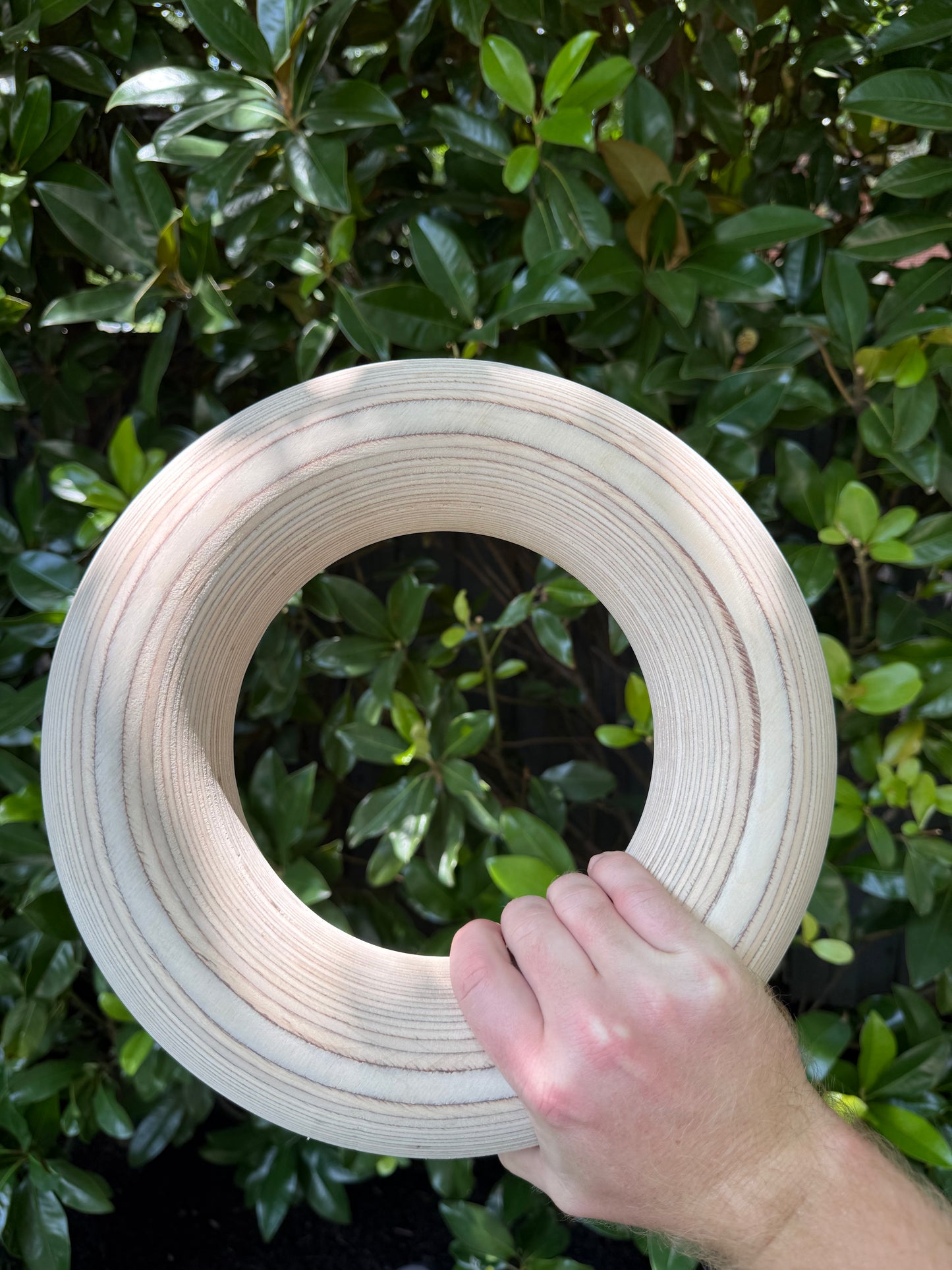 SuperFat Rings - 2.75" Thick Handled Gymnast Rings