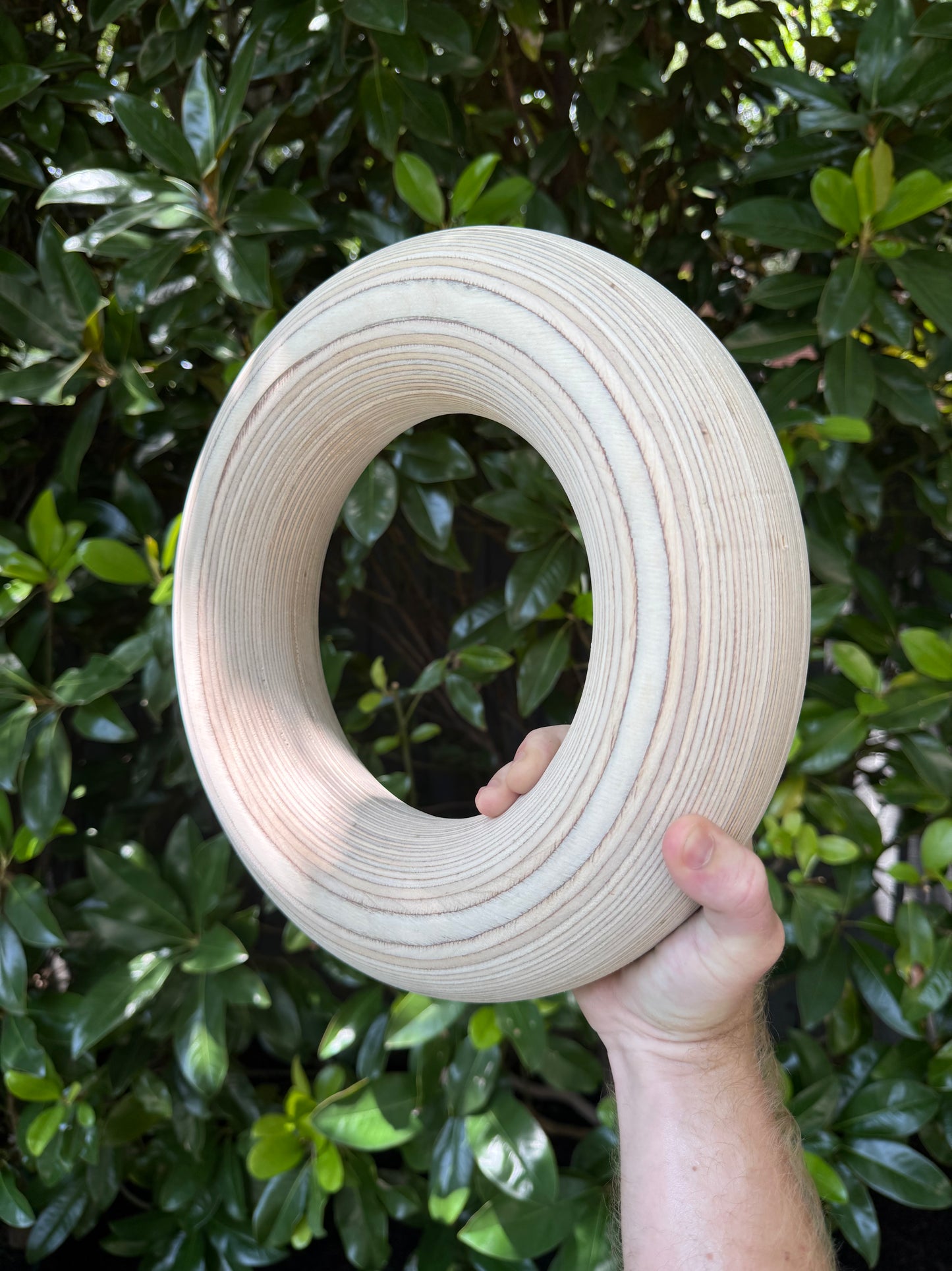 SuperFat Rings - 2.75" Thick Handled Gymnast Rings